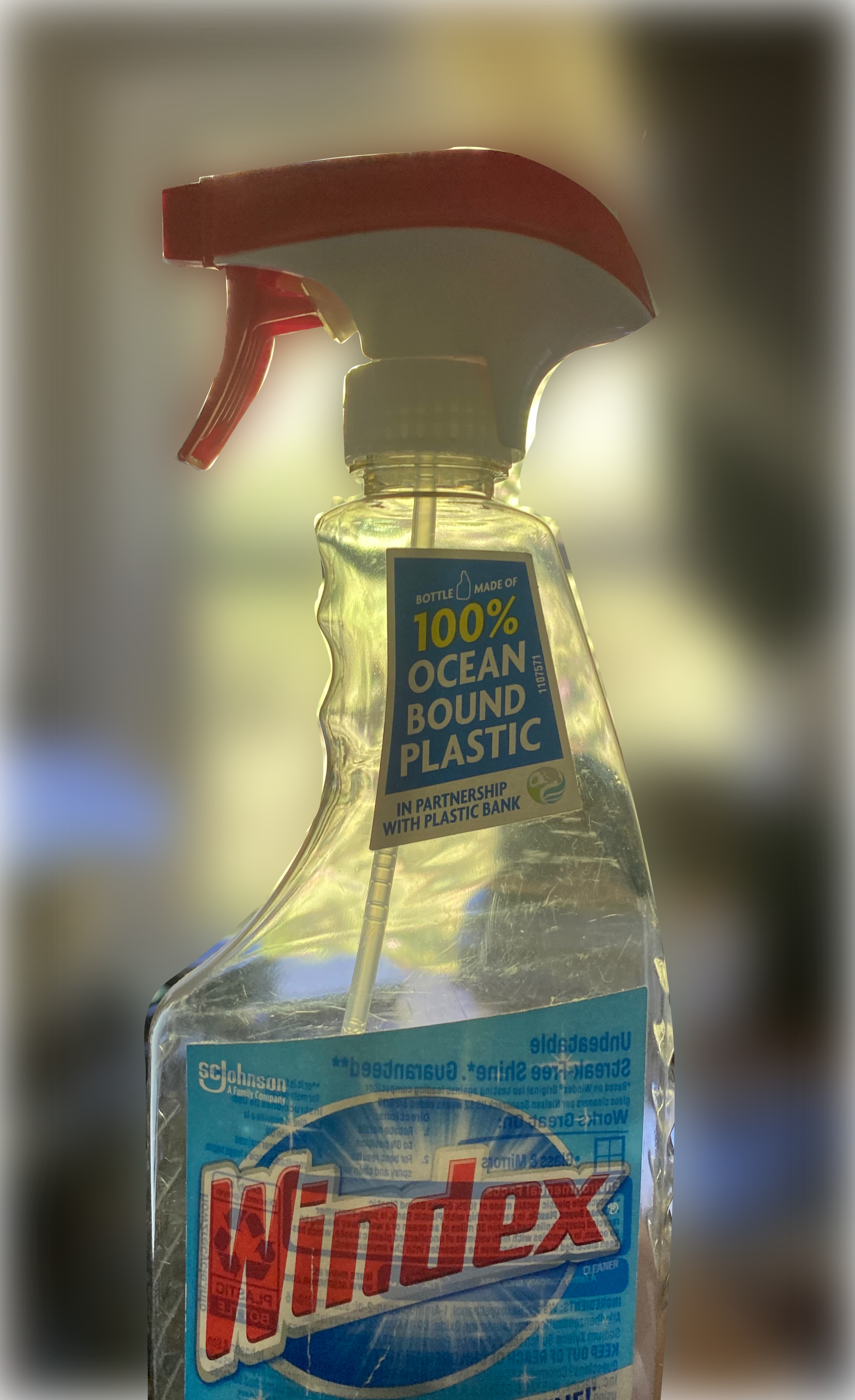 Pacific Ocean Windex