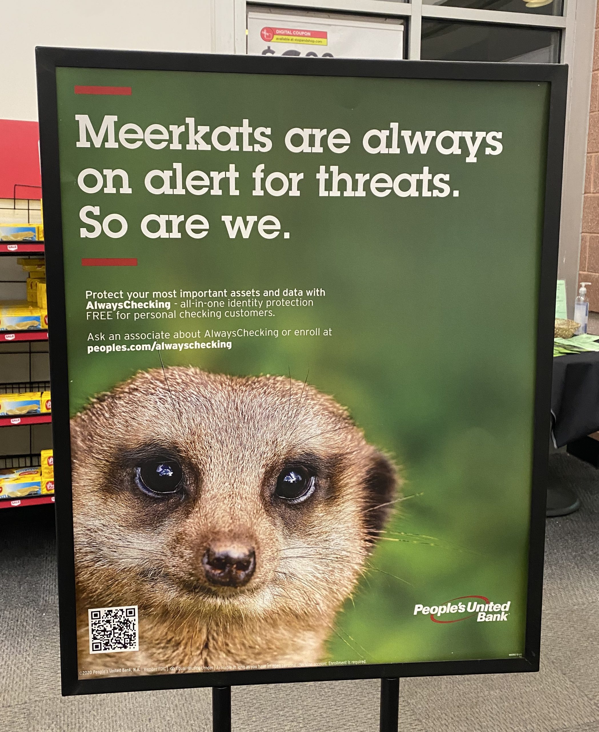 Meerkat National Bank